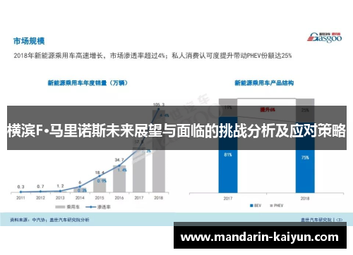 横滨F·马里诺斯未来展望与面临的挑战分析及应对策略